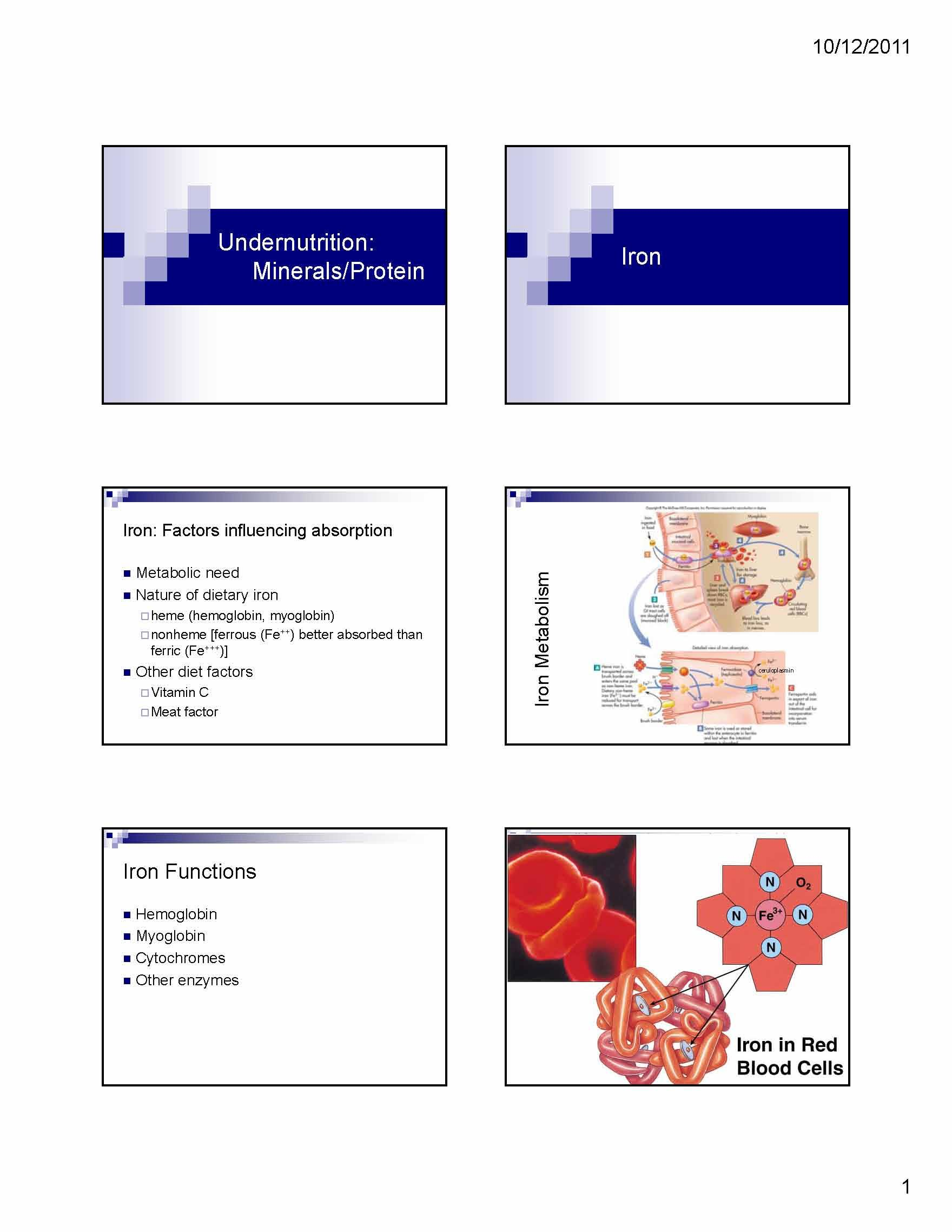 Fundamentals Of Nutrition