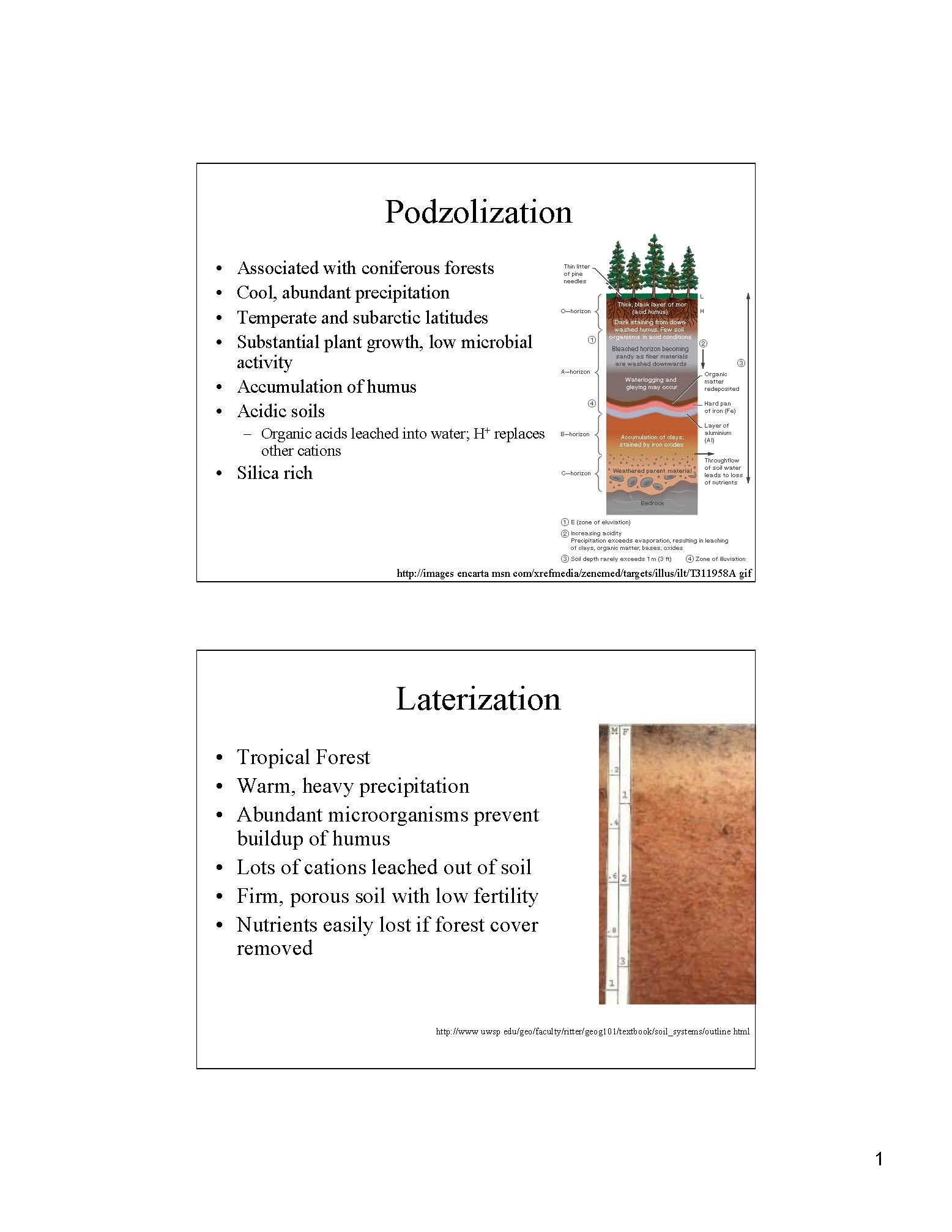 Biogeography