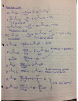 CHEM241: Test 3 Review Sheet