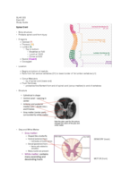 SLHS 303 Exam #2 StudyGuide.pdf