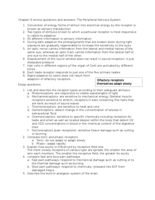 Chapter 6 Q&A peripheral nervous system