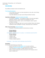 Week 6 Lecture notes, Cell Diversity, Photosynthesis, and Cell Respiration 