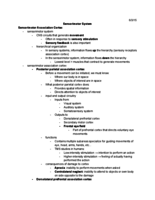 Chapter 8- Sensorimotor System