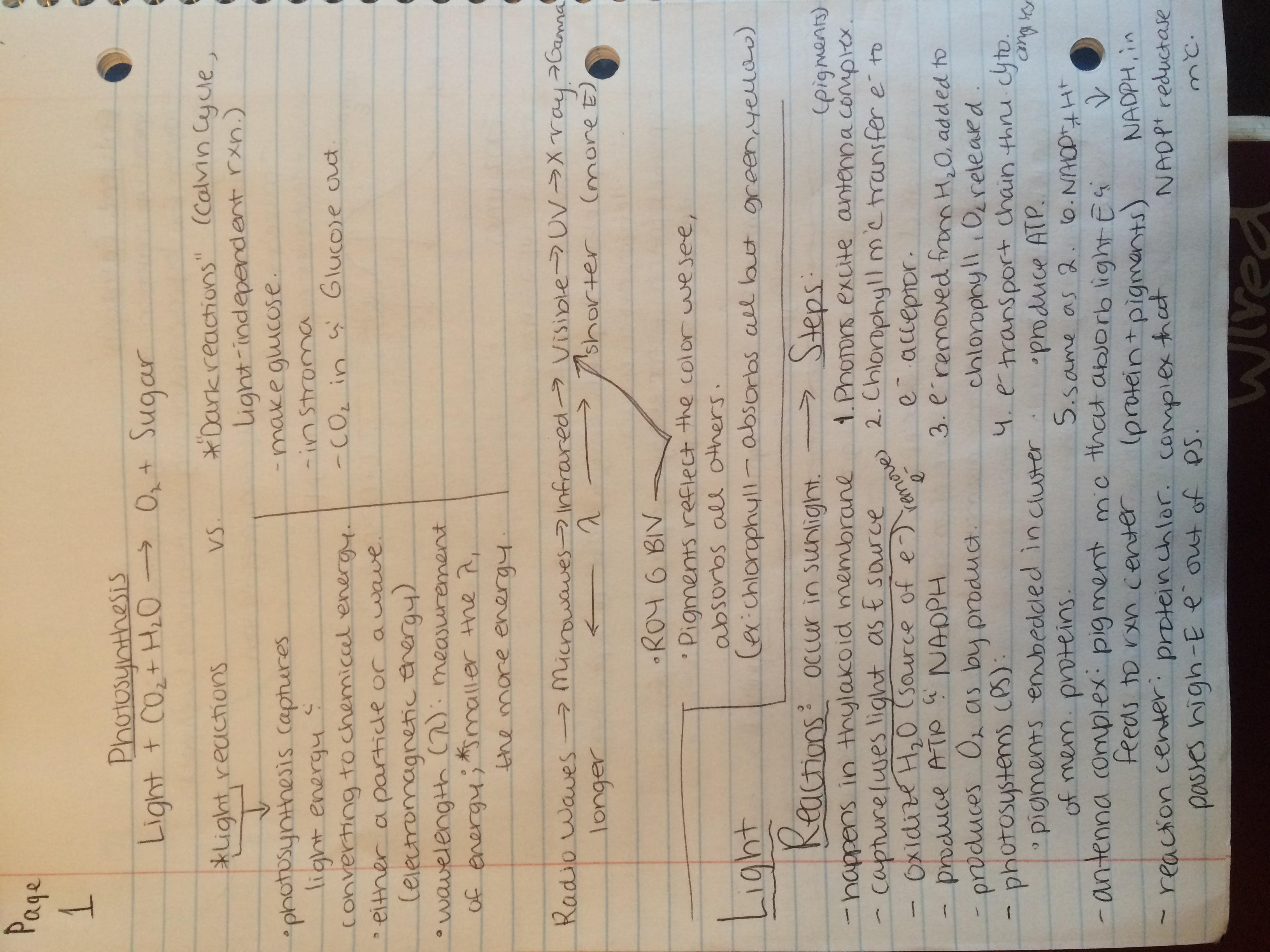 Photosynthesis and Cellular Respiration