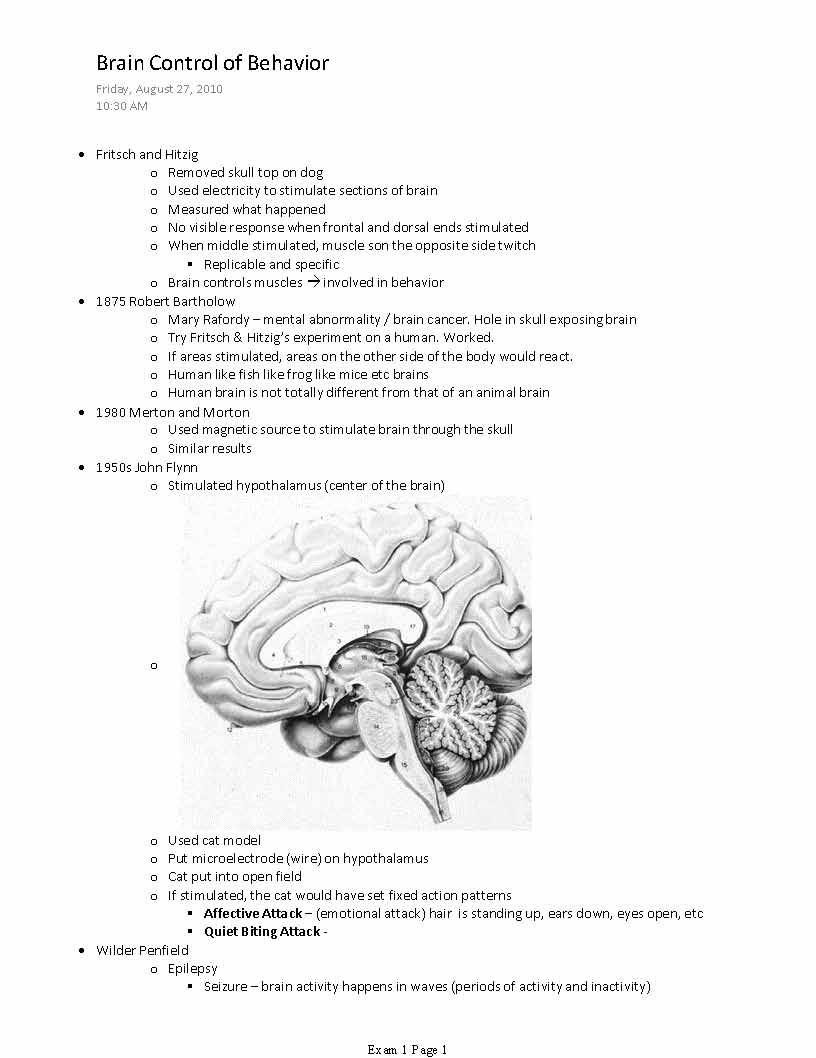 A Survey of the Neural Basis of Behavior