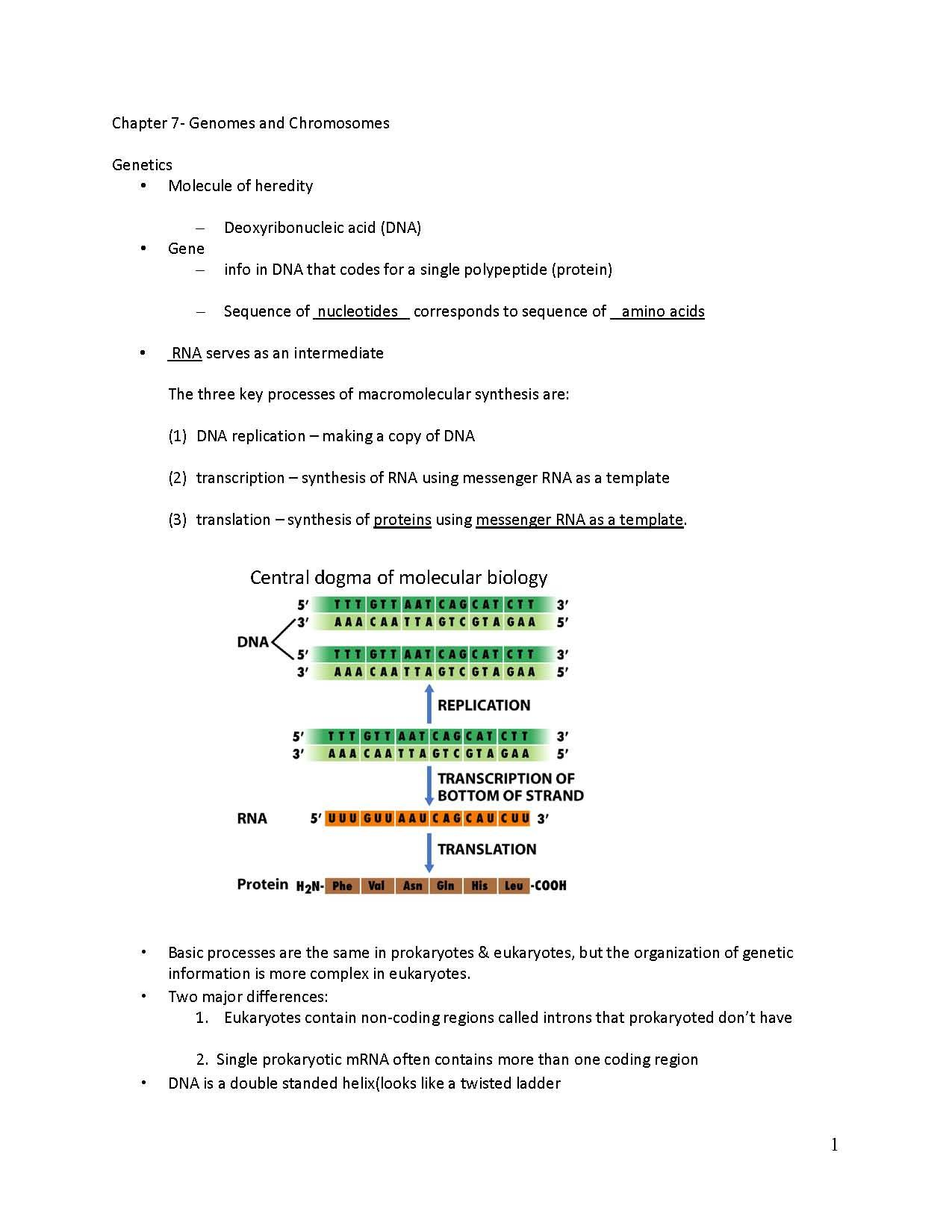 GEN MICROBIOLOGY