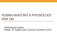 Chapter 18- The Cardiac Cycle,Coronary Circulation, and ECG