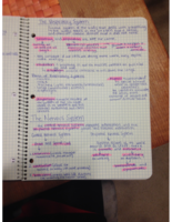 The Respiratory System/ Nervous System 