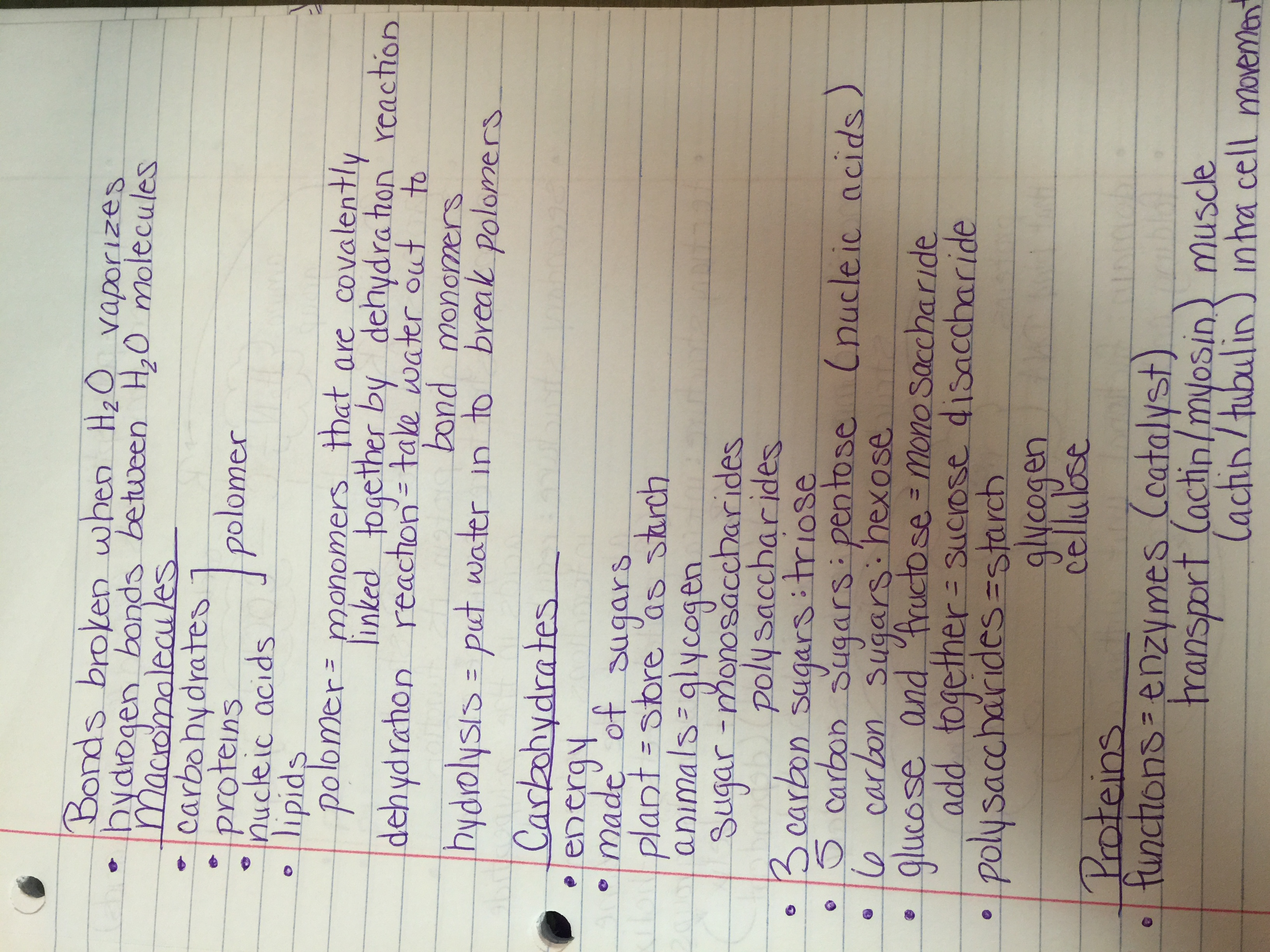 Week 1 Lecture Notes