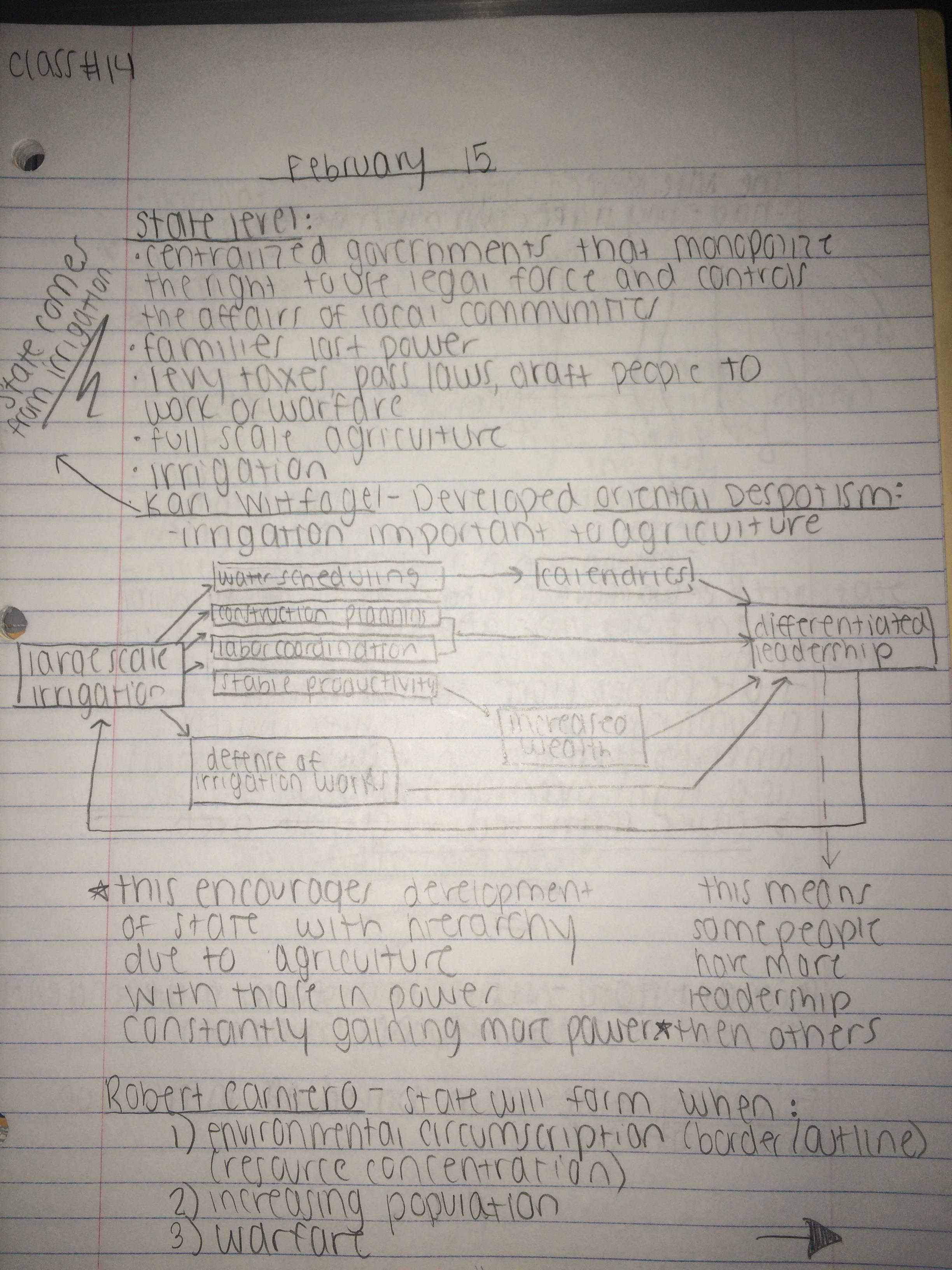 Week 6 Cultural Anthropology Notes