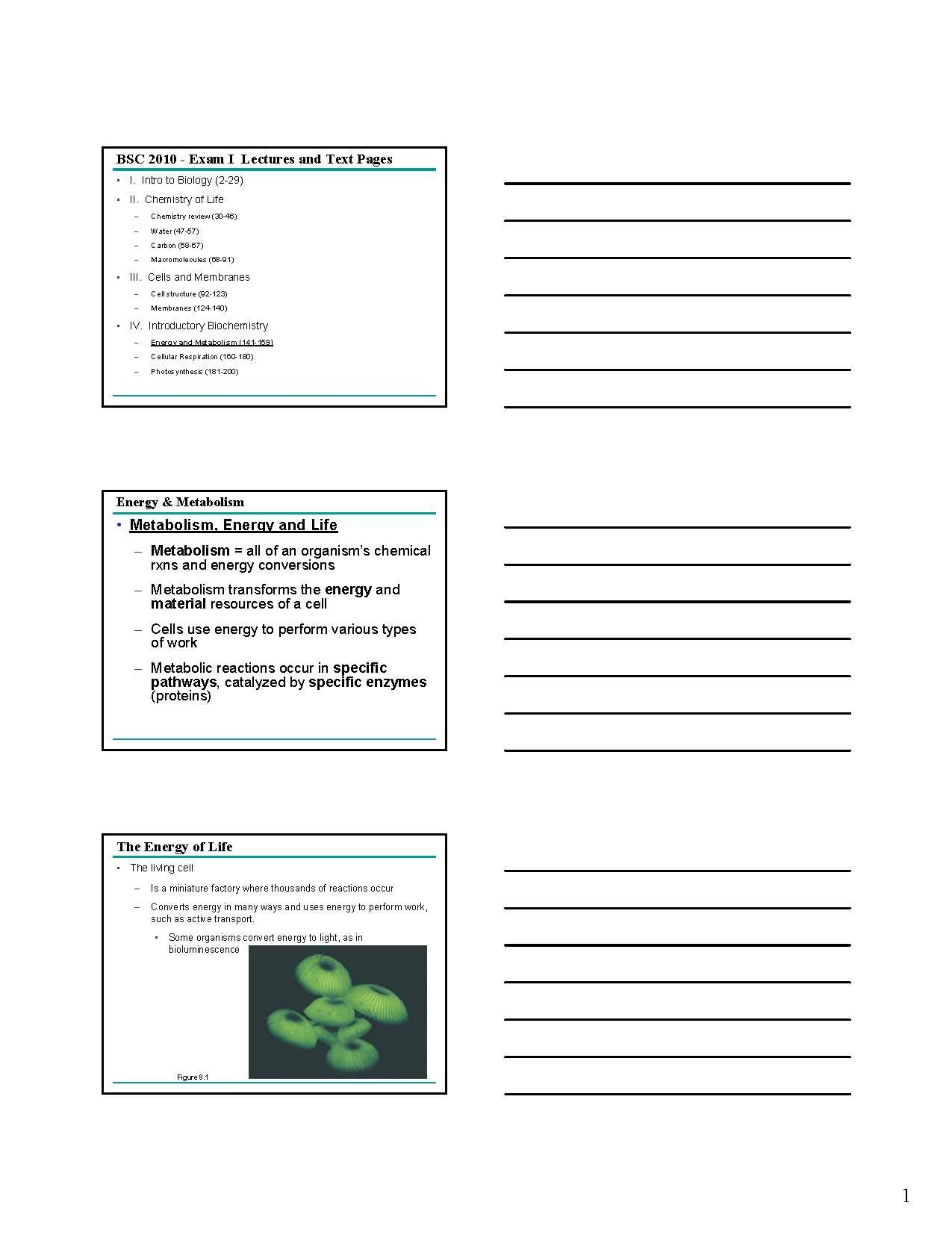 INTEGRA PRINC BIOL 1