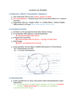 Bio Lecture 14: Protists