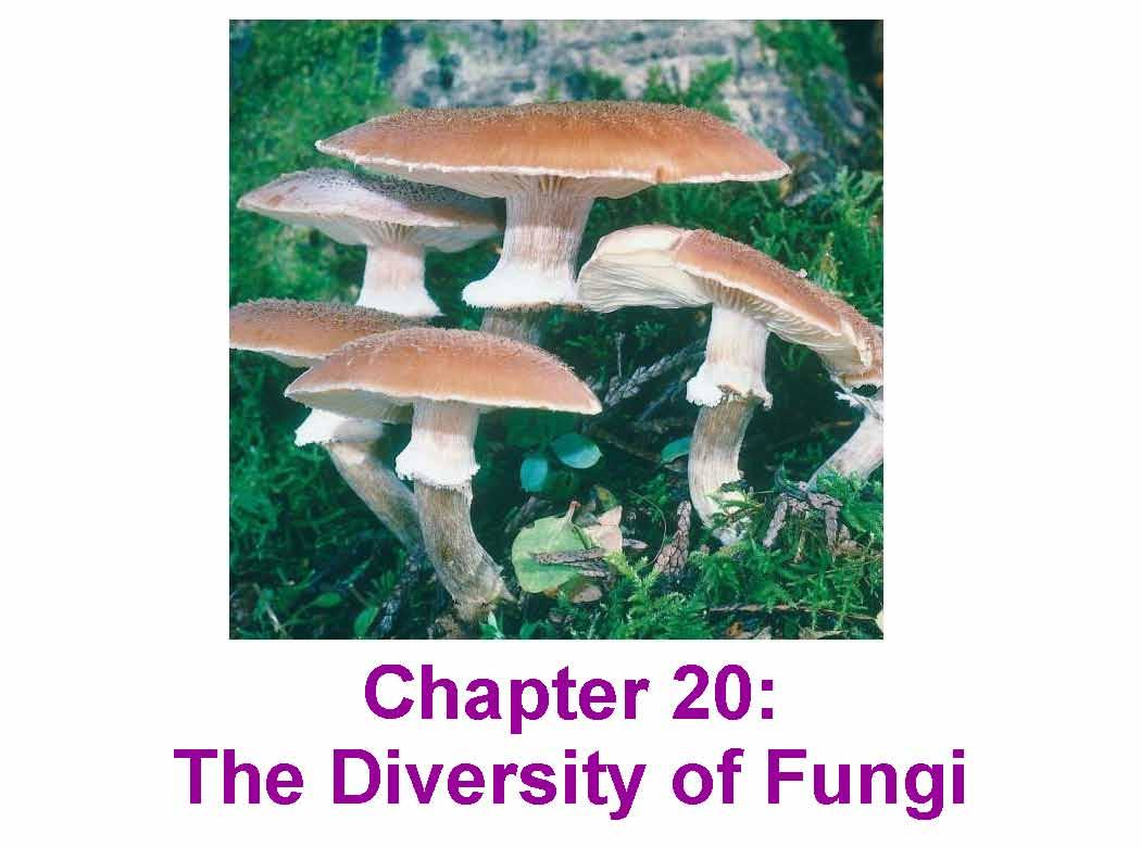 GENERAL BIOLOGY