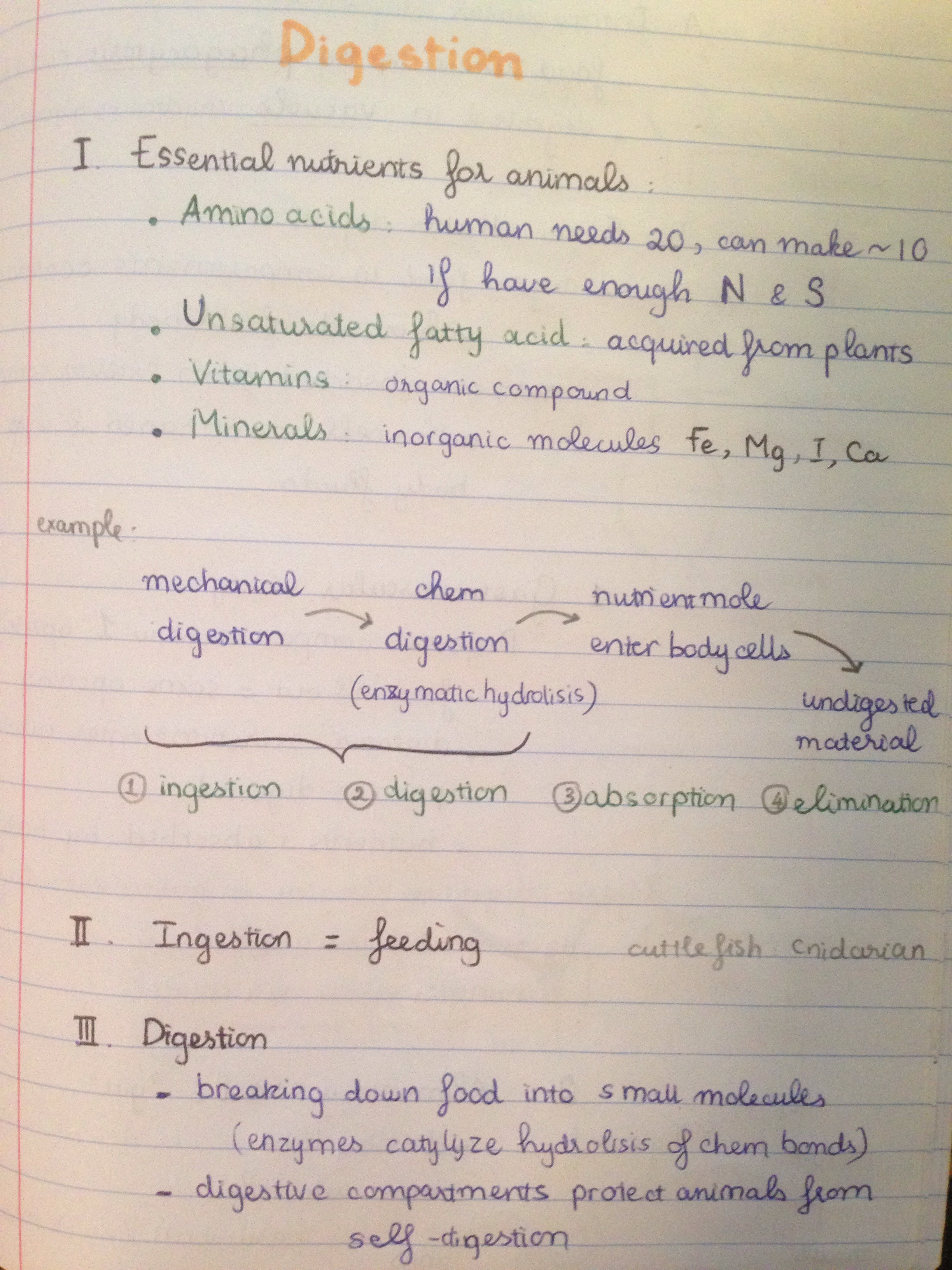 Week 2  Lecture - Bio 1