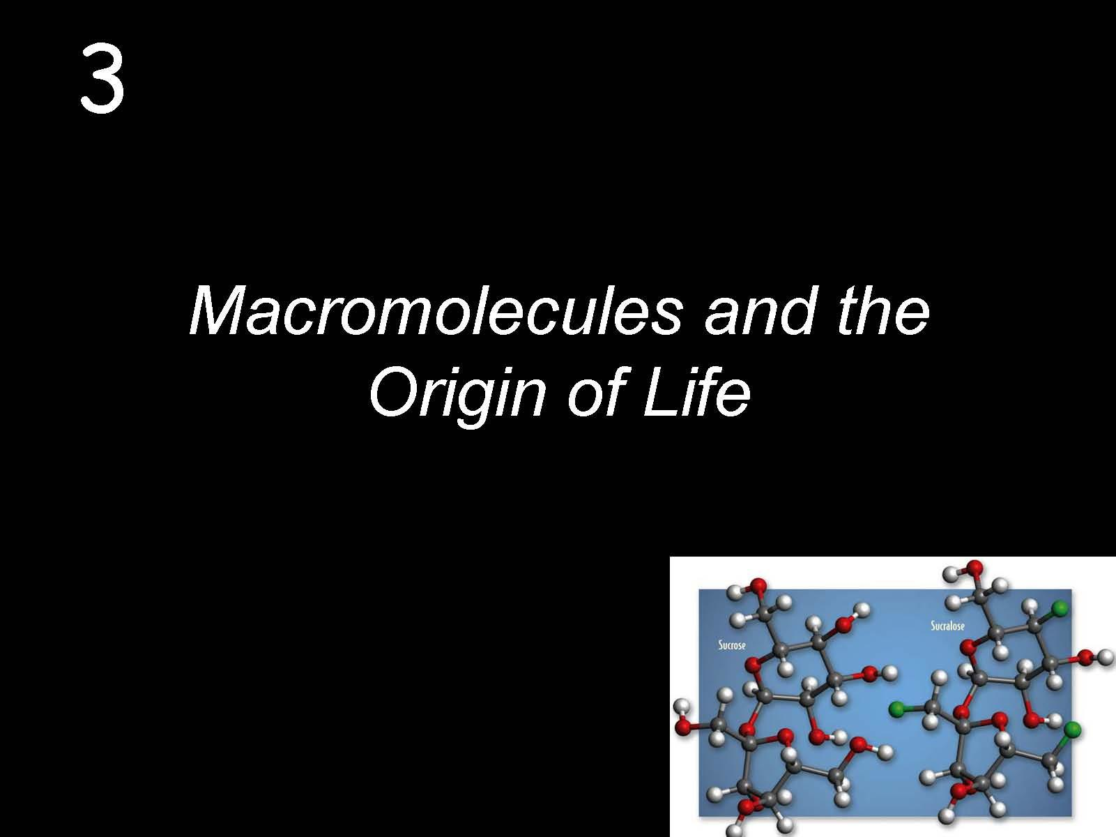 Principles of Biology I