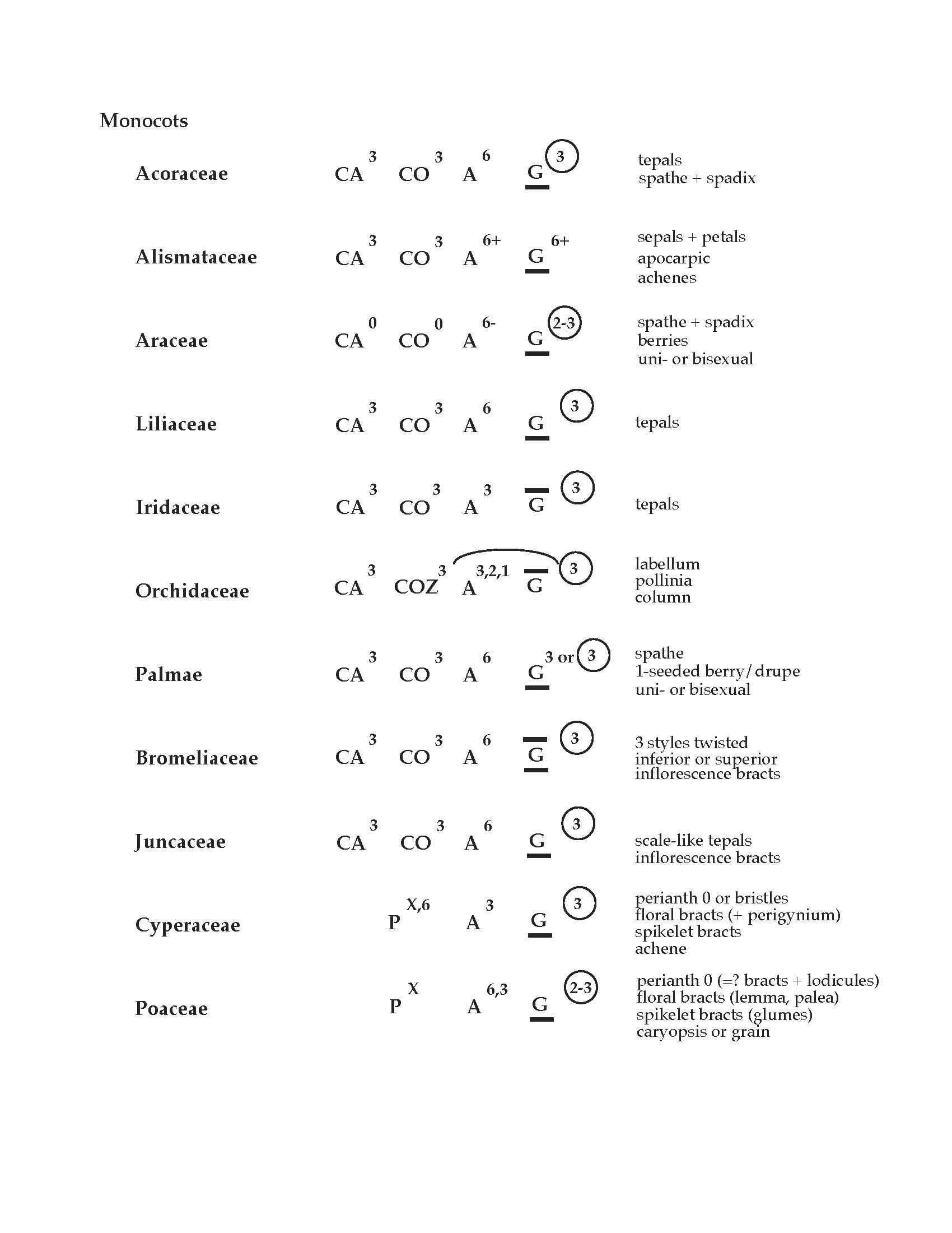 Plant Systematics