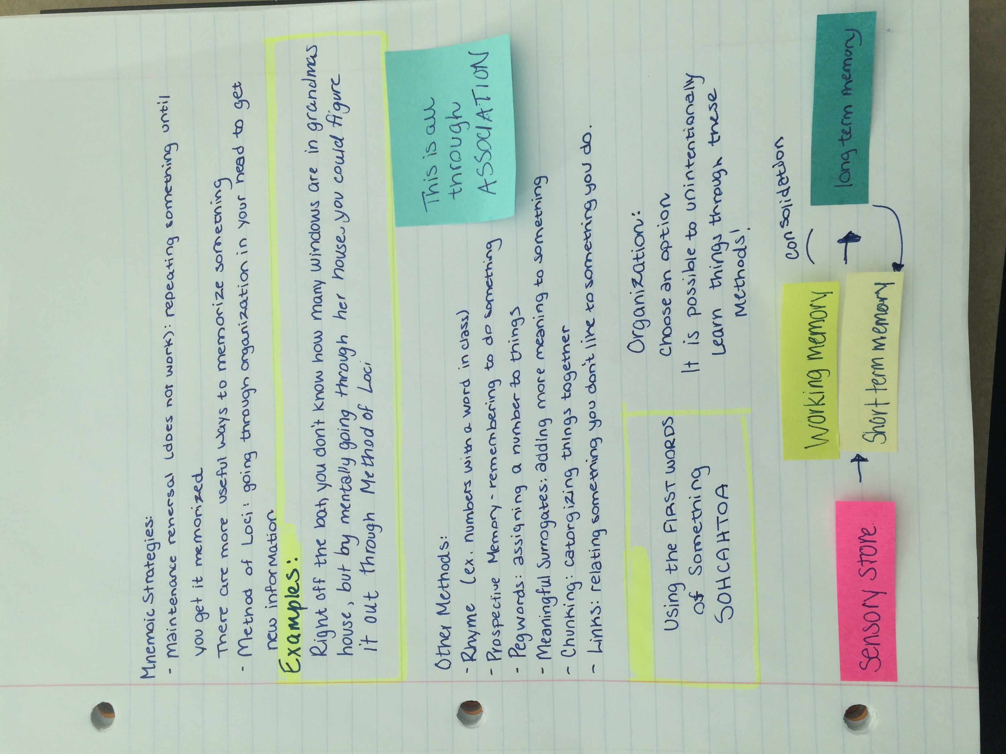 Psy 101 Notes