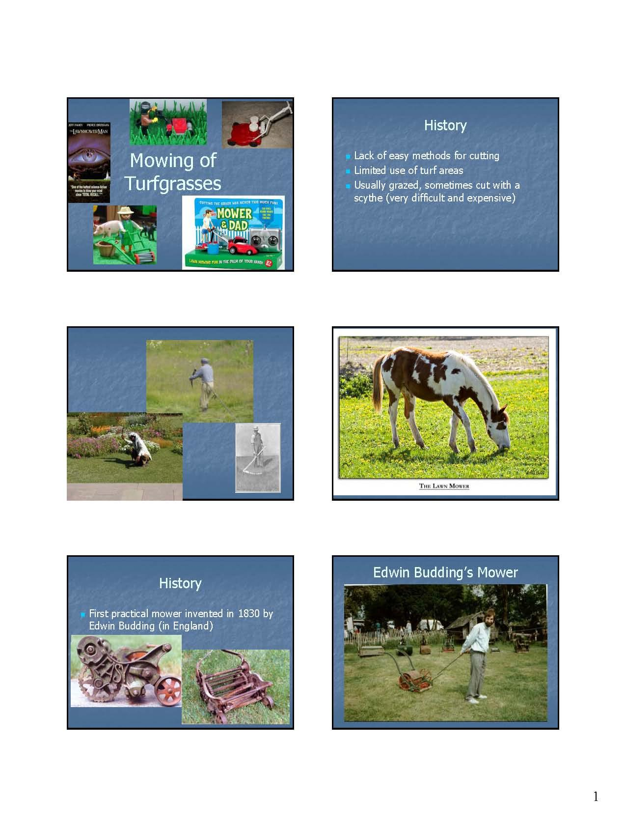 Turfgrass Management