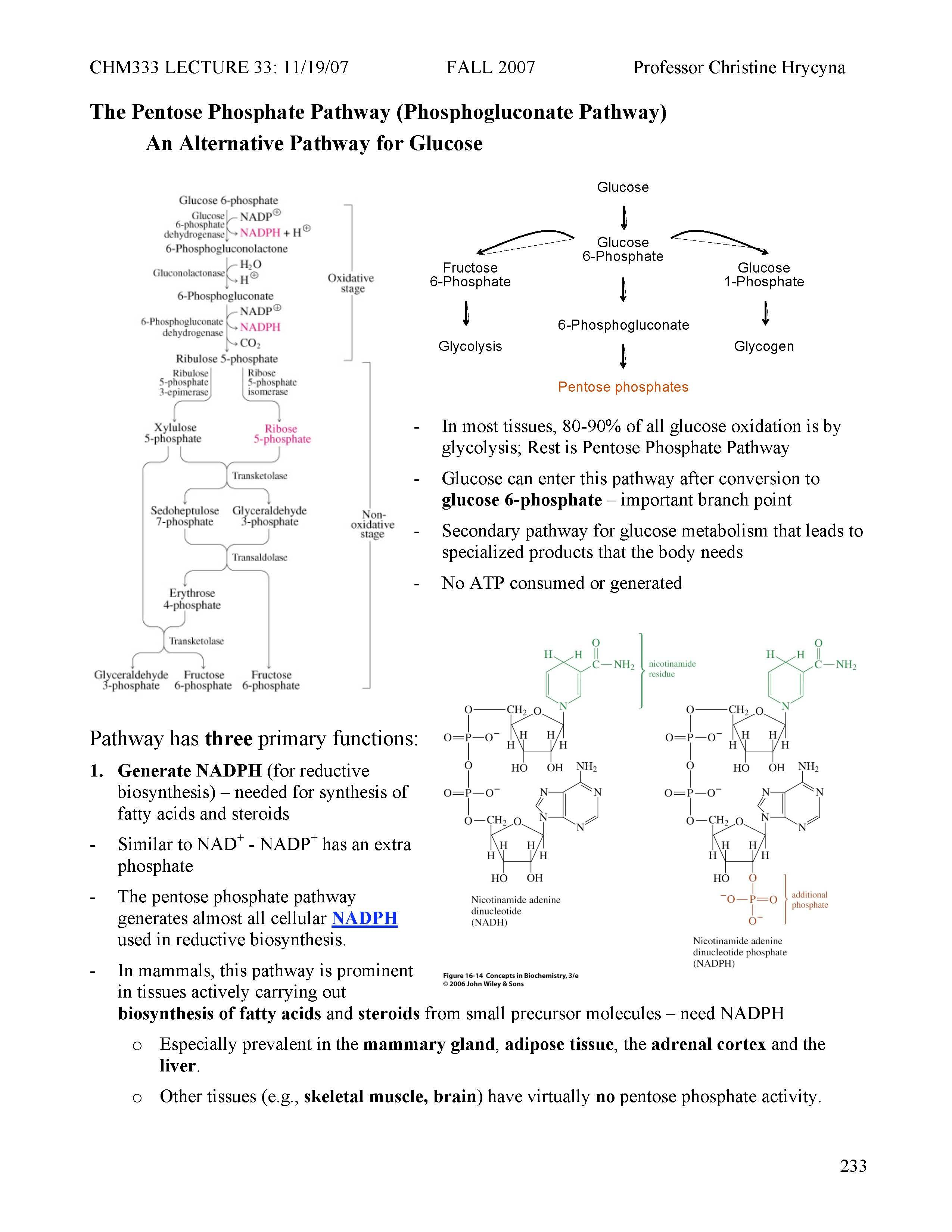 Experimental Chemistry II