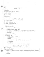 In class lecture notes - week 1