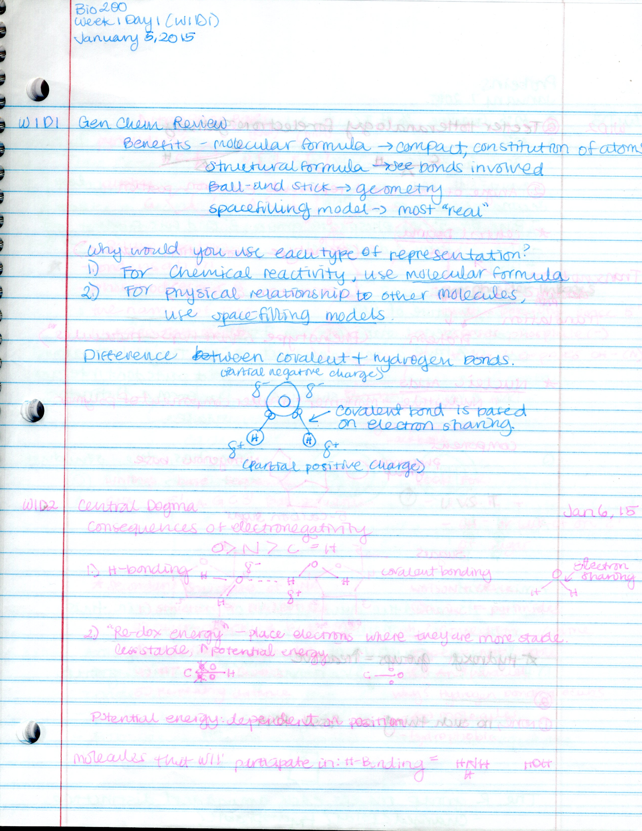 Week 1 - BIOL 200 Notes