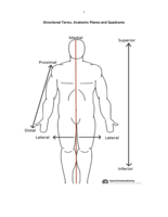 direction terms quiz