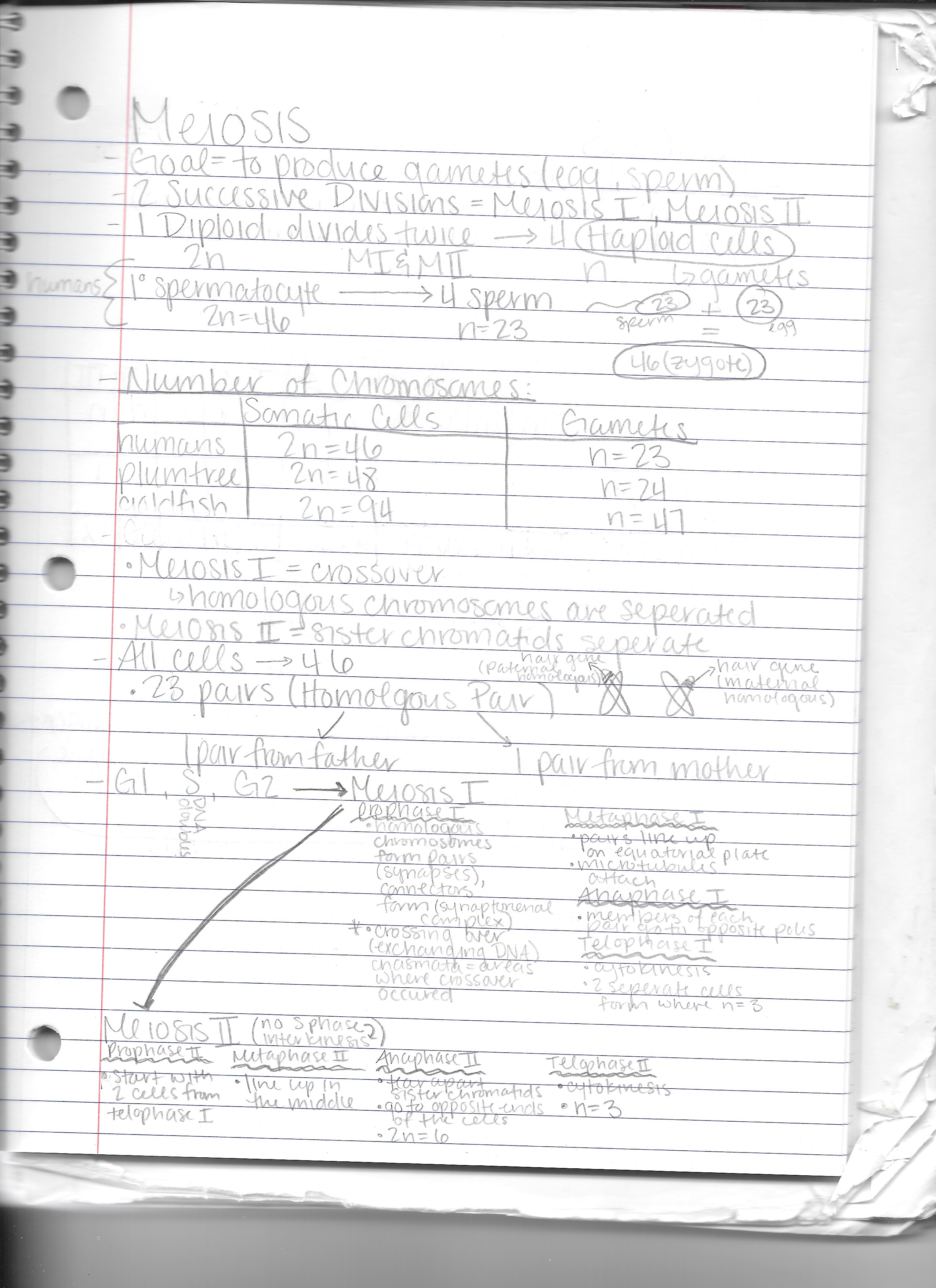 10/12/15- 10/14/15 (Biology)