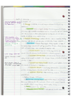 Ch. 6- Learning