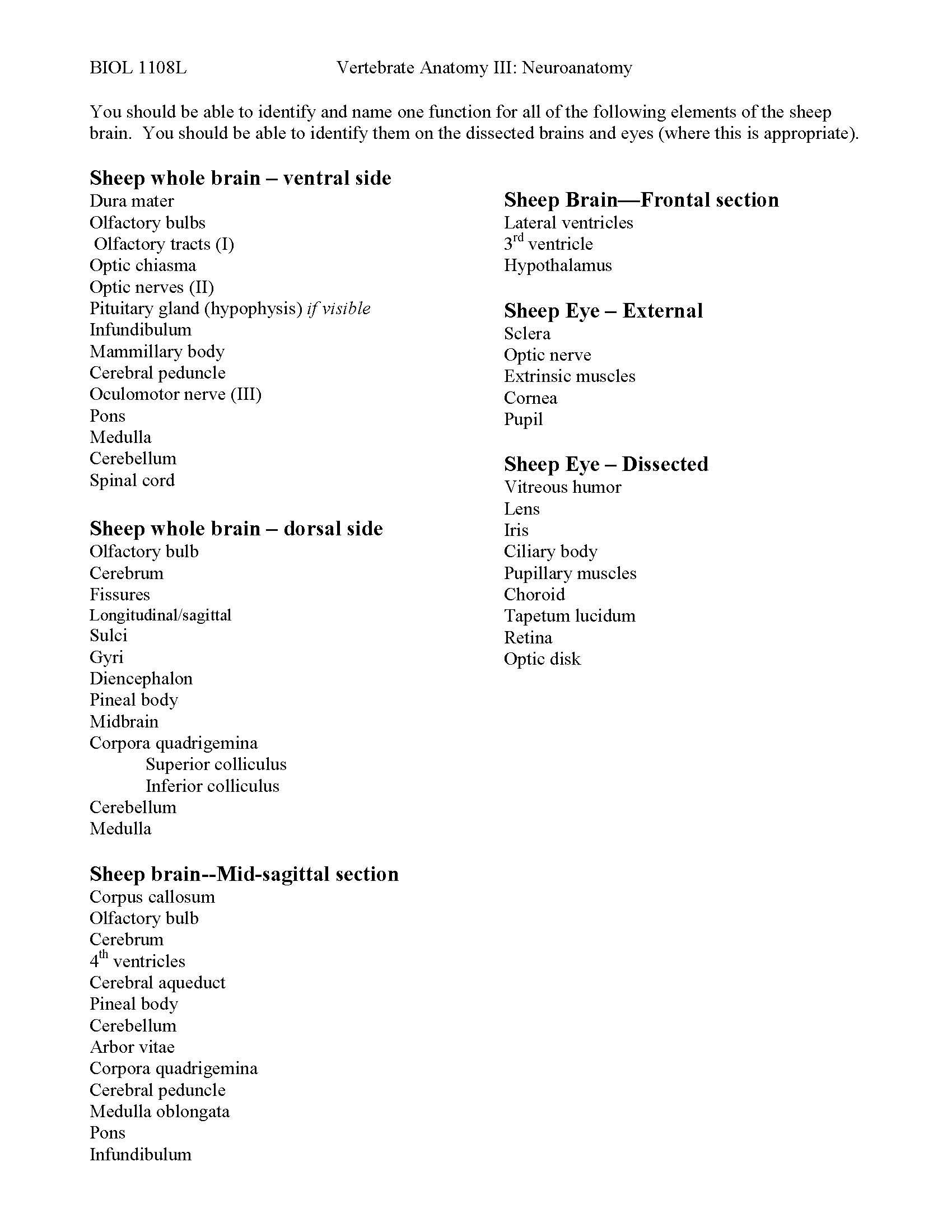 Principles of Biology II
