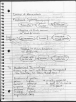 A&P Week 2 - Outline