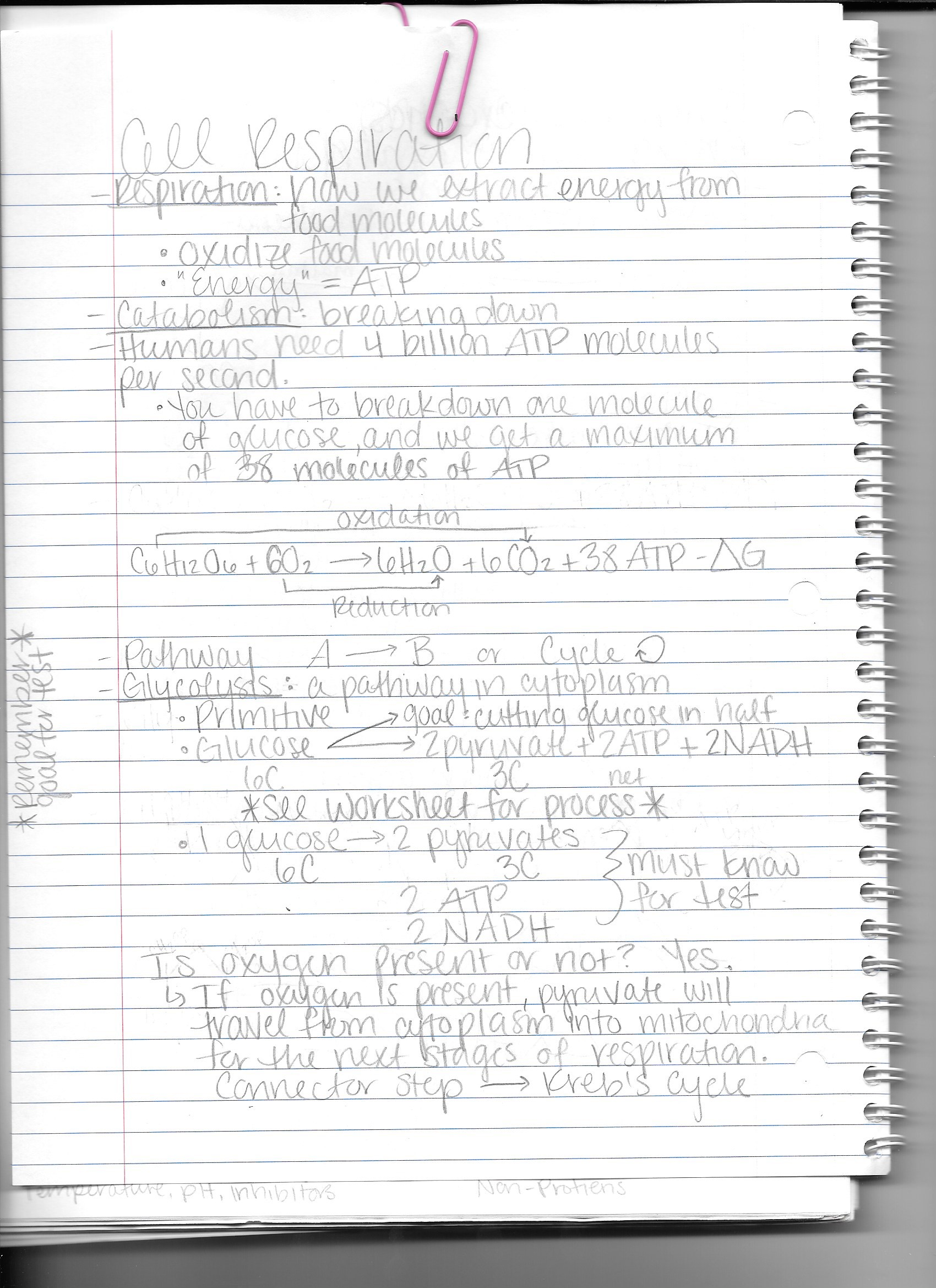 9/28/15- 10/2/15 (Biology)