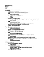 European Civ Class Notes, #1