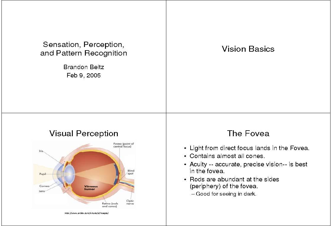 Cognitive Psychology