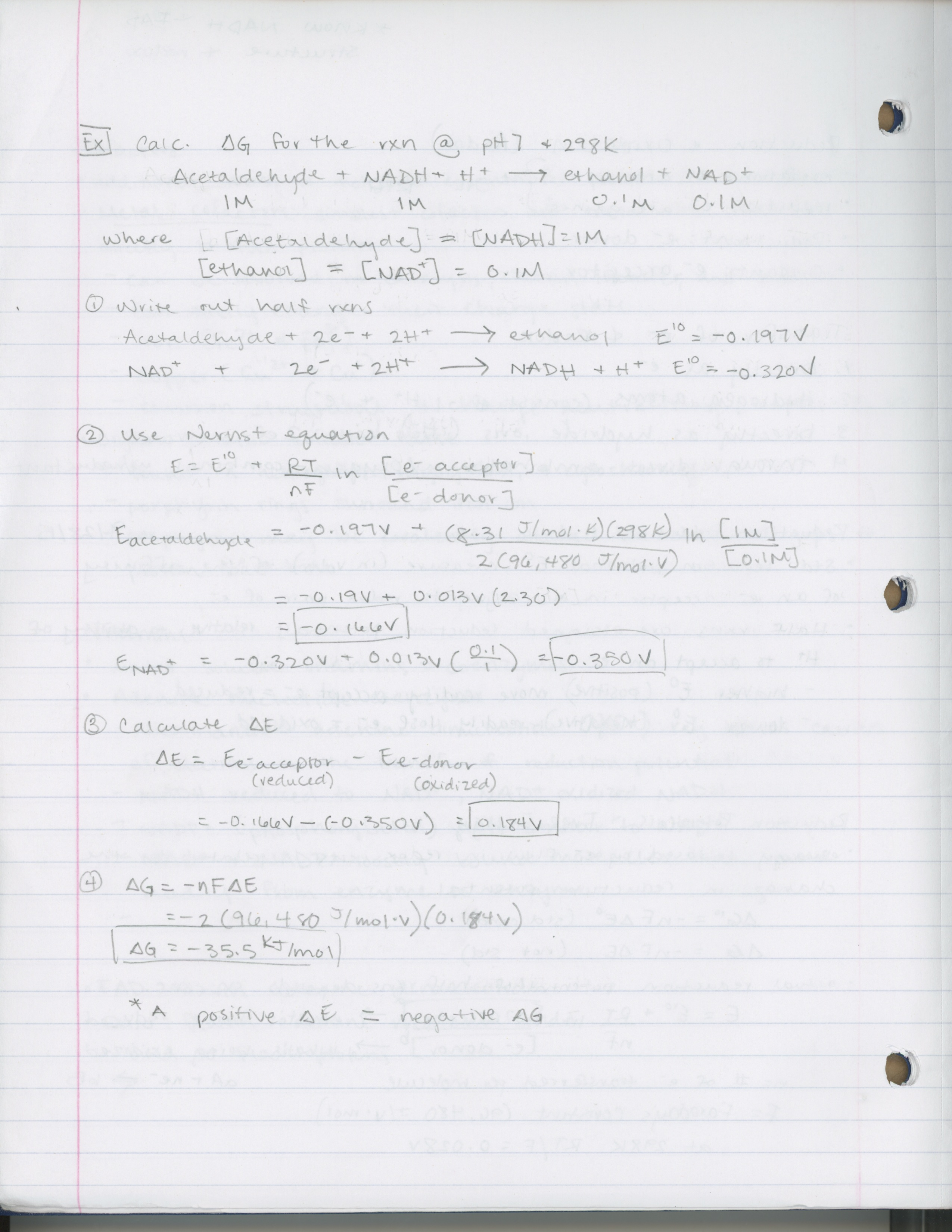Week 4 Notes- Biochemistry 1