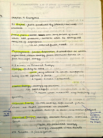 Biology Chapter 4: Energetics