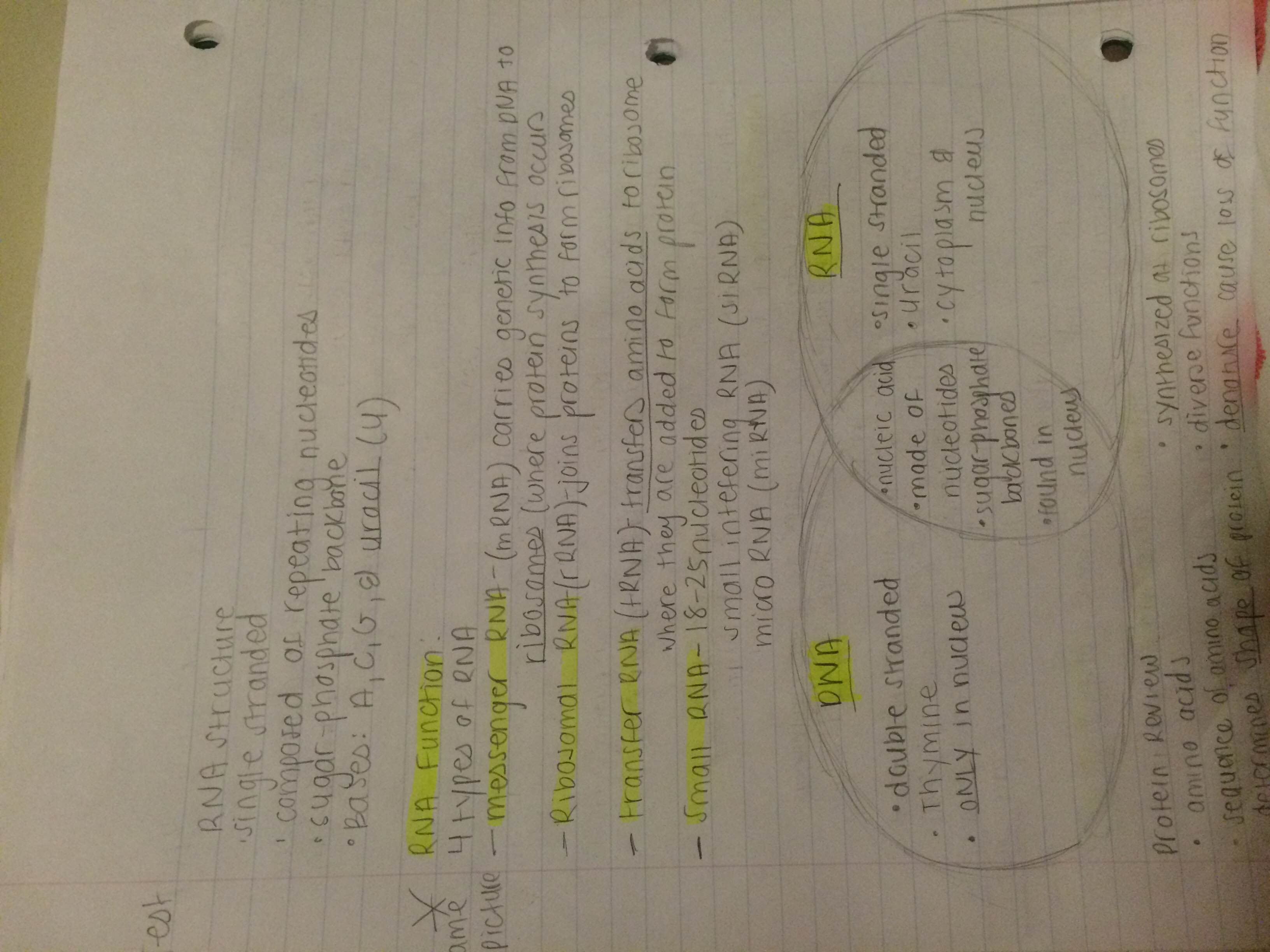 Chapter 21 notes 