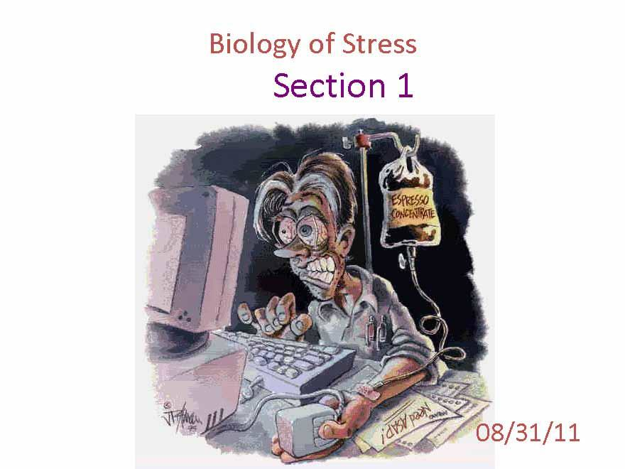 The Biology of Stress