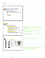 Week 9 - PHCL 2600 Notes