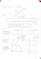 Course Notes Oct. 5-7 (CHEM)