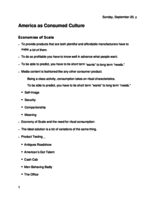America as Consumed Culture