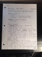 Sept 17th History Notes