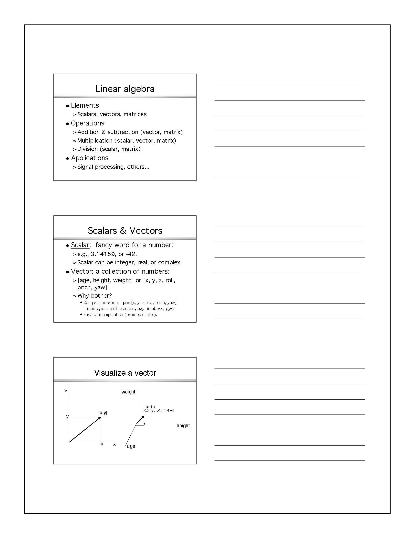 Psycholinguistics