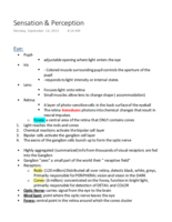 Sensation&Perception.pdf