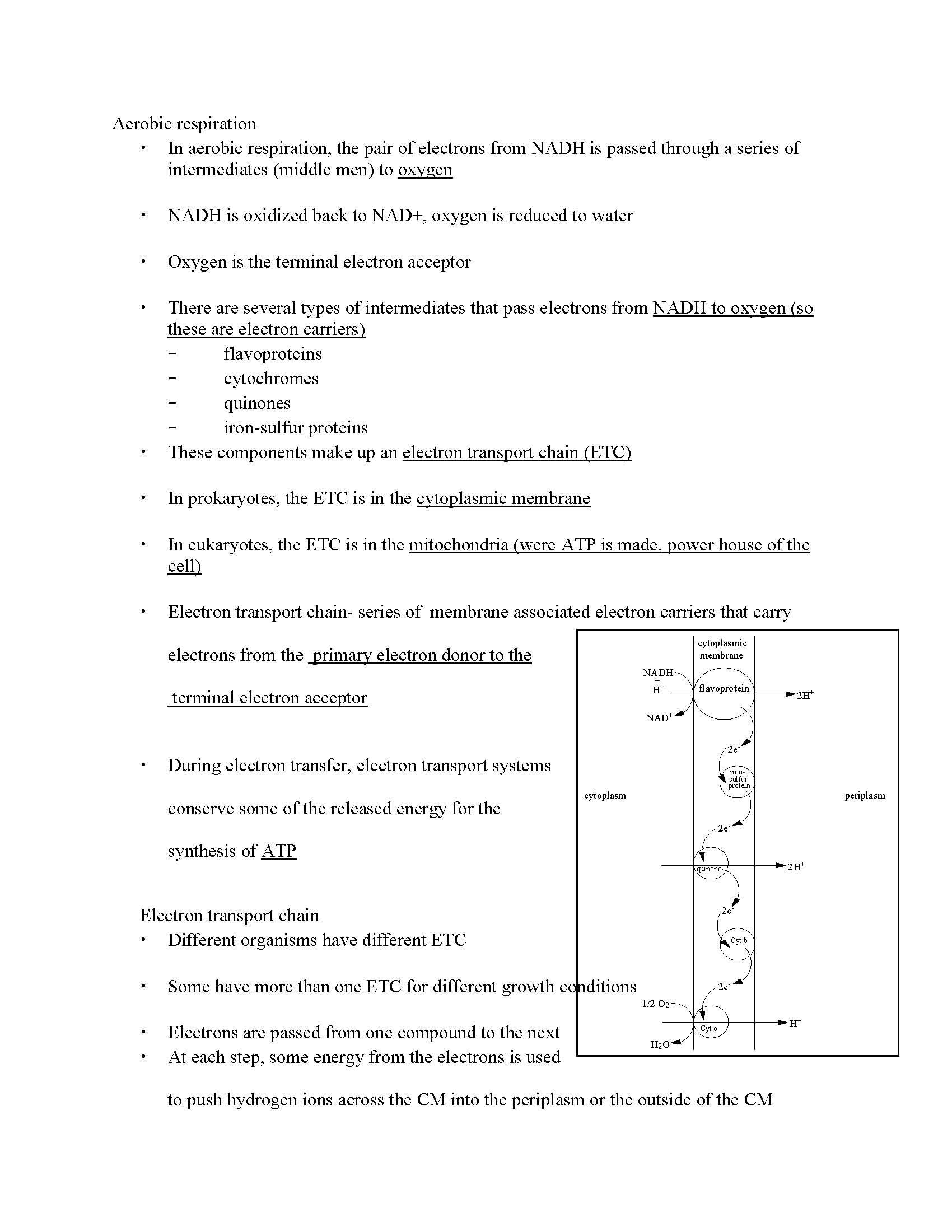 GEN MICROBIOLOGY