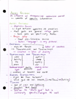 ANTH 140 Week 11 Lecture Notes