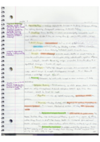 ch. 8- cognition and language