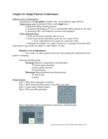 Chapter 16 and 18 Notes