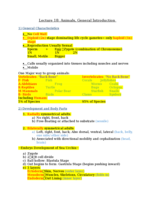 Lecture 18: Animals, General Introduction 