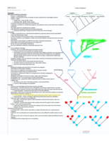 Evolution Notes Week 3
