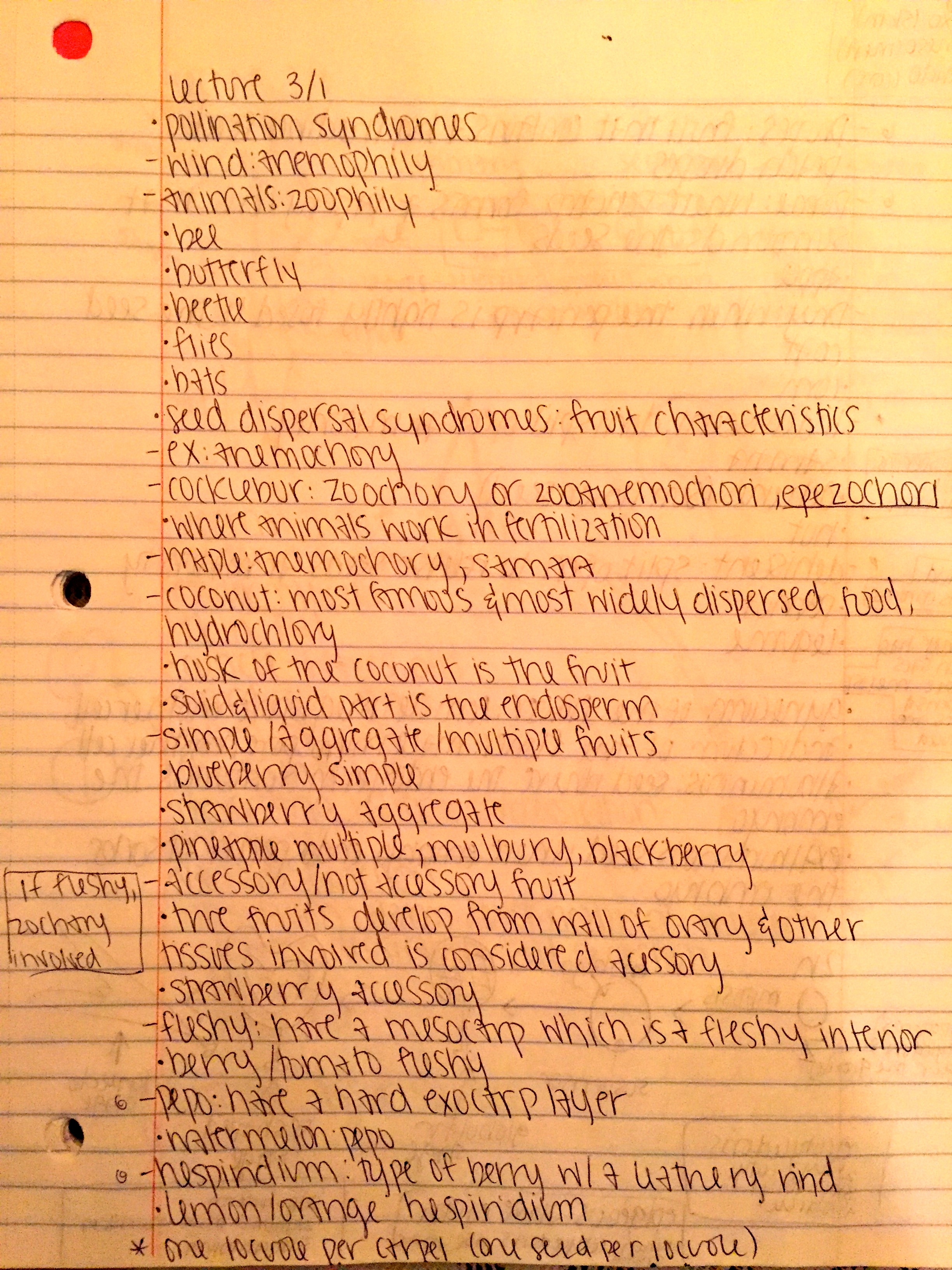 BIOL 1030 Lecture 3/01-3/03 Notes (Folkerts)